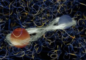 Photo Technológia kvantového prepojenia umožňuje generovať realistické 3D hologramy