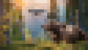 Photo Ako môžu technológie pomôcť vyriešiť problém s medveďmi?