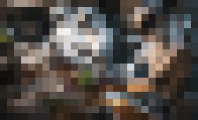 Photo AI transformuje aj potravinársky priemysel