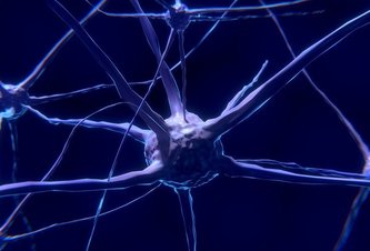 Photo ML a neurónové siete v praktických príkladoch / Scikit-learn: Ako trénovať nelineárne modely pomocou lineárnej regresie