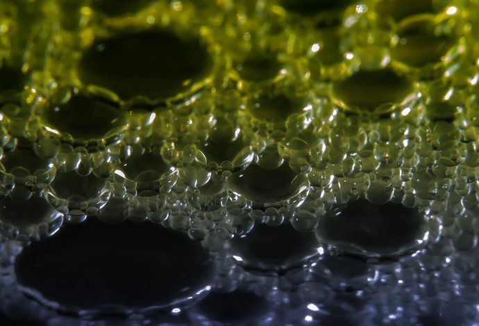 Photo Revolučný “živý” gél dýcha CO₂ a vďaka tomu rastie 