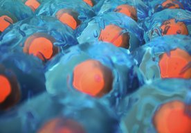 Photo Bioboty využívajúce existenciu 