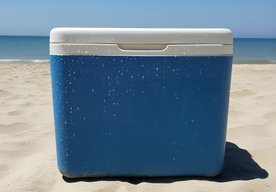 Photo Ako vybrať chladničku na cestovanie?