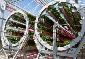 Photo Výrobca vysávačov Dyson prichádza s unikátnym spôsobom pestovania jahôd pomocou robotov