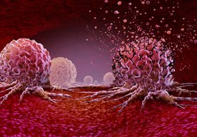 Photo Revolučná metóda v boji proti rakovine využíva molekulárne zbíjačky 