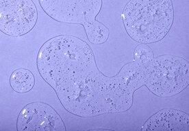 Photo Supermateriál z baktérií je pevnejší ako oceľ, priehľadný a pružný ako plast 