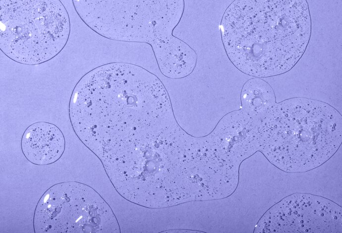 Photo Supermateriál z baktérií je pevnejší ako oceľ, priehľadný a pružný ako plast 
