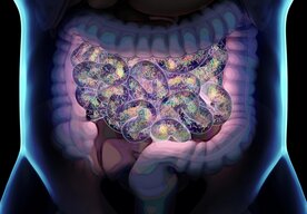 Photo Podľa vašich črevných baktérií sa dá zistiť, kde bývate