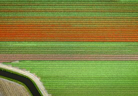 Photo Laserový masaker na poliach: inteligentné stroje nahrádzajú chemikálie 