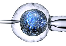 Photo Neurobiotické senzory spájajú elektroniku so živými bunkami a vytvárajú úplne nový typ technológií