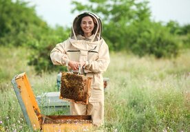 Photo Včelí jed dokáže zničiť agresívne nádory prsníka za 60 minút