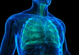 Photo 24 minút bez nádychu? Ľudské telo má skrytý režim prežitia