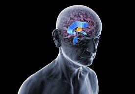 Photo Prepínač v mozgu môže pomôcť výraznému zlepšeniu pamäti a kognitívnych funkcií 