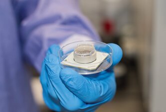 Photo Mozog v miske sa sám naučil hrať videohru a vedci sa pýtajú: stvorili sme vedomie?