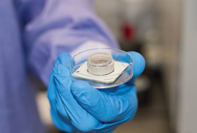 Photo Mozog v miske sa sám naučil hrať videohru a vedci sa pýtajú: stvorili sme vedomie?