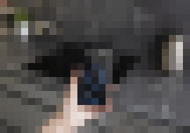 Photo Automatizácia domácnosti bez cloudu