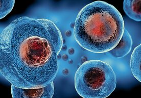 Photo Vedci objavili spôsob, ako naučiť telo vytvárať si trvalú imunitu voči rakovine