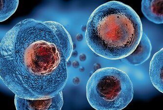 Photo Vedci objavili spôsob, ako naučiť telo vytvárať si trvalú imunitu voči rakovine