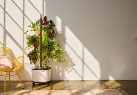 Photo Táto inteligentná záhrada vybavená umelou inteligenciou pestuje bylinky priamo vo vašej obývačke 