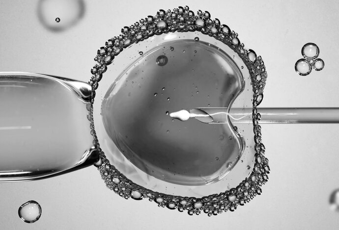 Photo Koniec strachu z neplodnosti a tikania biologických hodín. Prelomová technológia vytvára ľudské embryá z buniek kože  