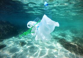 Photo Vyhodené igelitky sa môžu zmeniť na svietiace senzory, ktoré odhalia jedy vo vode