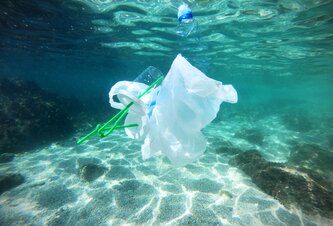 Photo Vyhodené igelitky sa môžu zmeniť na svietiace senzory, ktoré odhalia jedy vo vode