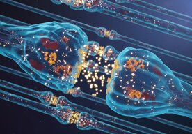 Photo Inžinieri vyrobili umelý neurón, ktorý je 100-krát úspornejší ako dnešné čipy