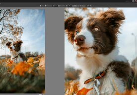Photo Zoner Studio vylepšuje každodenní práci s fotkami. Podzimní aktualizace přináší rozšířené AI náhledy detailů