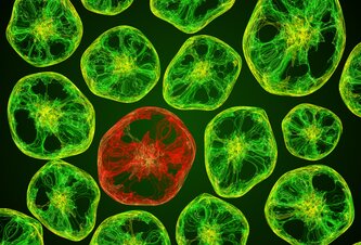 Photo Vedci objavili spôsob, ako presne zacieliť na rakovinový gén bez poškodenia zdravých buniek