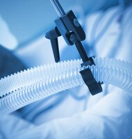 Photo Dýchanie cez zadok: bizarný výskum mieri k záchrane životov