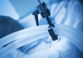 Photo Dýchanie cez zadok: bizarný výskum mieri k záchrane životov