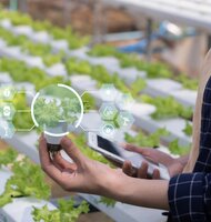 Photo Nový AI nástroj pomocou spektrometra za 5 sekúnd zistí, čo rastliny potrebujú 