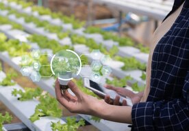 Photo Nový AI nástroj pomocou spektrometra za 5 sekúnd zistí, čo rastliny potrebujú 