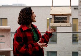 Photo Pomôžte vtákom v zime: vyrobte si kŕmidlo s PARKSIDE