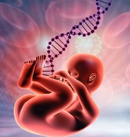 Photo Elita zo Silicon Valley financuje startup na genetickú úpravu nenarodených detí