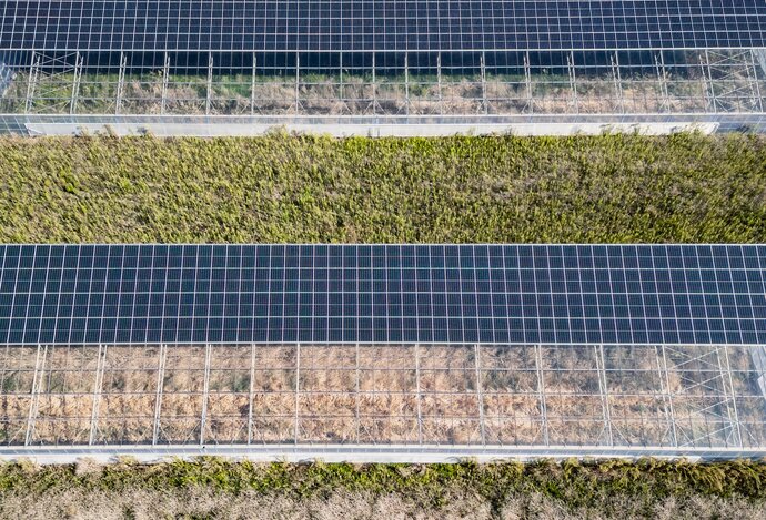 Photo Prečo zelenina rastie rýchlejšie a lepšie v tieni solárnych panelov?