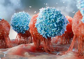 Photo Vedci objavili špeciálny typ imunitnej bunky, ktorá prináša predĺženie zdravého života