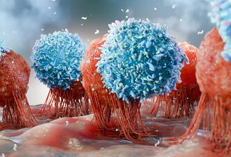 Photo Vedci objavili špeciálny typ imunitnej bunky, ktorá prináša predĺženie zdravého života