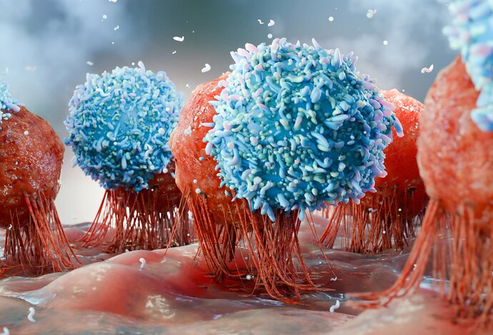 Photo Vedci objavili špeciálny typ imunitnej bunky, ktorá prináša predĺženie zdravého života