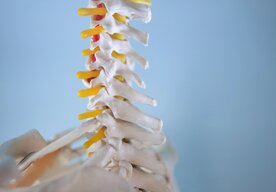 Photo Prekvapivý objav: Kmeňové bunky z telesného tuku dokážu efektívne liečiť zlomeniny  