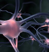 Photo Bežná aminokyselina dokáže redukovať mozgové plaky spojené s Alzheimerom 