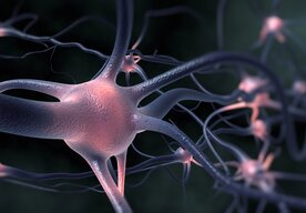 Photo Bežná aminokyselina dokáže redukovať mozgové plaky spojené s Alzheimerom 