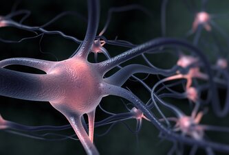 Photo Bežná aminokyselina dokáže redukovať mozgové plaky spojené s Alzheimerom 