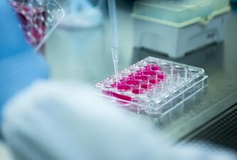 Photo Vedci úspešne omladili starnúce krvné kmeňové bunky  