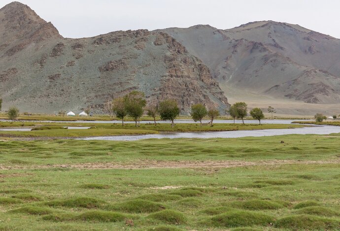 Photo Masívna výsadba stromov v Číne spôsobila nečakaný problém
