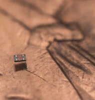 Photo Roboti menší než zrnko soli už dokážu „plávať“ a stoja iba 1 cent