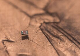 Photo Roboti menší než zrnko soli už dokážu „plávať“ a stoja iba 1 cent