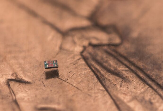 Photo Roboti menší než zrnko soli už dokážu „plávať“ a stoja iba 1 cent