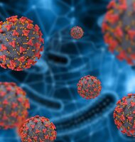 Photo AI pomôže zastaví vírus skôr, než vstúpi do bunky: nový „dizajnér“ peptidov mieri na herpesy