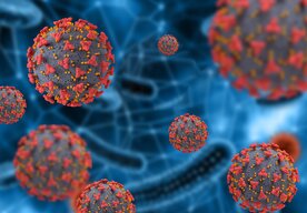 Photo AI pomôže zastaví vírus skôr, než vstúpi do bunky: nový „dizajnér“ peptidov mieri na herpesy